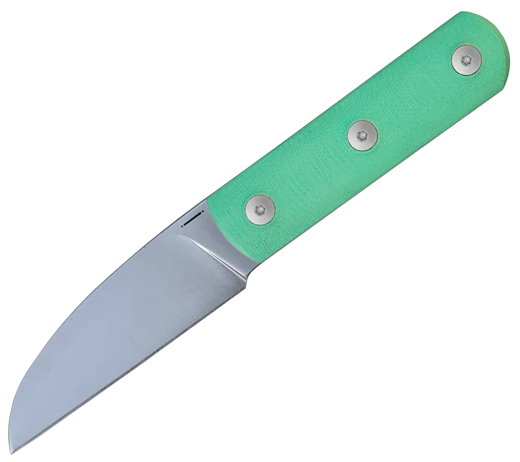 Ally Tiffany blue G10 